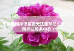 高德地图标记位置无法删除怎么办（地图标注服务中心）
