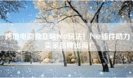 跨境电商独立站POD玩法！POD插件助力卖家品牌出海！