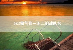 2025霸气独一无二的战队名