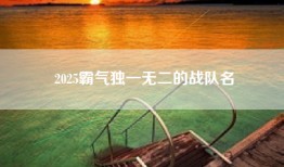 2025霸气独一无二的战队名