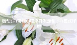 链动2+1商城小程序开发定制 2+1模式详解