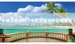 手机流量消耗（手机流量消耗在哪里看）