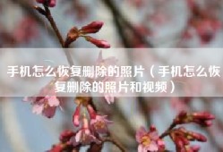 手机怎么恢复删除的照片（手机怎么恢复删除的照片和视频）