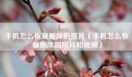 手机怎么恢复删除的照片（手机怎么恢复删除的照片和视频）