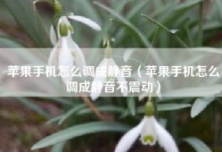 苹果手机怎么调成静音（苹果手机怎么调成静音不震动）