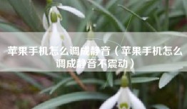 苹果手机怎么调成静音（苹果手机怎么调成静音不震动）