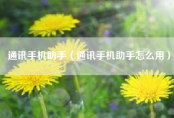 通讯手机助手（通讯手机助手怎么用）