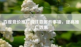 百度竞价推广应注意哪些事项，提高推广效果