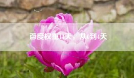 百度权重14天，从0到4天