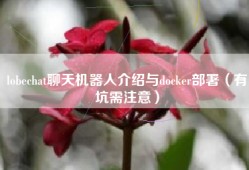 lobechat聊天机器人介绍与docker部署（有坑需注意）