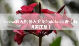 lobechat聊天机器人介绍与docker部署（有坑需注意）