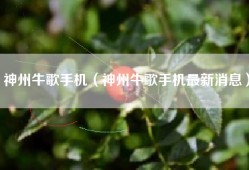 神州牛歌手机（神州牛歌手机最新消息）