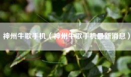 神州牛歌手机（神州牛歌手机最新消息）