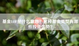 基金LOF是什么意思？这种基金类型有哪些投资优势？