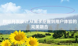 网站开发设计,从需求挖掘到用户体验的完美融合