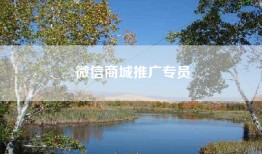 微信商城推广专员