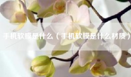 手机软膜是什么（手机软膜是什么材质）