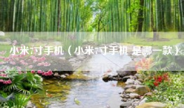 小米7寸手机（小米7寸手机 是哪一款）