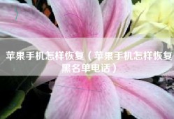 苹果手机怎样恢复（苹果手机怎样恢复黑名单电话）