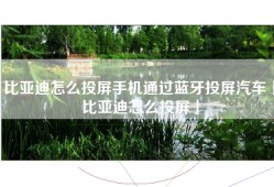 比亚迪怎么投屏手机通过蓝牙投屏汽车「比亚迪怎么投屏」