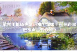 苹果手机扬声器进水（苹果手机扬声器进水声音变沙哑）