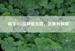南平SEO品牌服务商，效果有保障