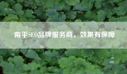 南平SEO品牌服务商，效果有保障