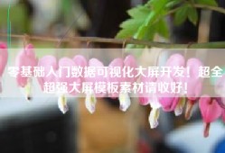零基础入门数据可视化大屏开发！超全超强大屏模板素材请收好！