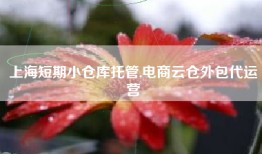 上海短期小仓库托管,电商云仓外包代运营