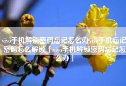 vivo手机解锁密码忘记怎么办vivo手机忘记密码怎么解锁「vivo手机解锁密码忘记怎么办」