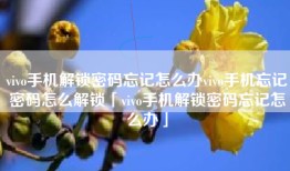 vivo手机解锁密码忘记怎么办vivo手机忘记密码怎么解锁「vivo手机解锁密码忘记怎么办」