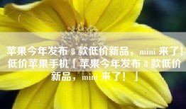 苹果今年发布 8 款低价新品，mini 来了！低价苹果手机「苹果今年发布 8 款低价新品，mini 来了！」