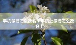 手机微博怎么改名（手机上微博怎么改名）