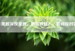 美股深夜重挫，纳指跌超3%，如何应对？