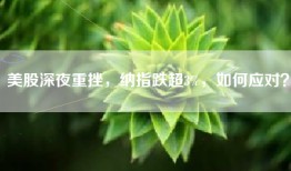 美股深夜重挫，纳指跌超3%，如何应对？
