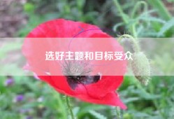 选好主题和目标受众