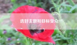 选好主题和目标受众