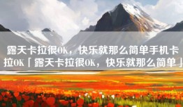 露天卡拉很OK，快乐就那么简单手机卡拉OK「露天卡拉很OK，快乐就那么简单」