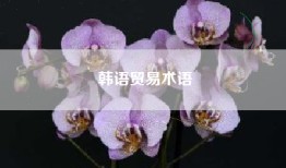 韩语贸易术语