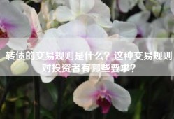 转债的交易规则是什么？这种交易规则对投资者有哪些要求？