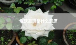 涨跌互现是什么意思