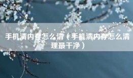 手机清内存怎么清（手机清内存怎么清理最干净）