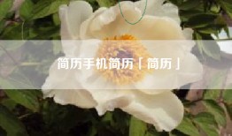 简历手机简历「简历」