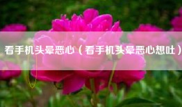 看手机头晕恶心（看手机头晕恶心想吐）