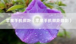 苹果手机微距（苹果手机微距摄影）
