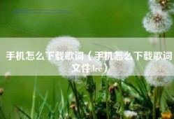 手机怎么下载歌词（手机怎么下载歌词文件.lrc）
