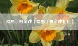 网易手机游戏（网易手机游戏礼包）