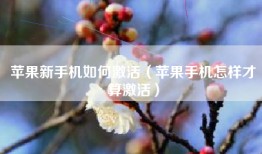 苹果新手机如何激活（苹果手机怎样才算激活）