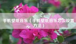 手机壁纸音乐（手机壁纸音乐怎么设置方法）