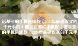 诺基亚的手机是哪款（2024年最建议买的千元手机）诺基亚哪款手机好「诺基亚的手机是哪款（2024年最建议买的千元手机）」